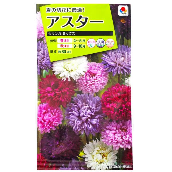 Rakuten - 【タキイ種苗】アスター　シリンガ ミックス（1ml）【定形郵便・定形外郵便での発送のみ送料無料】タキイの種/切り花/花壇/プランター/花種/種子/植物/栽培/ガーデニング/自宅で/エゾギク/キク科/春まき/秋まき/採苗本数：およそ70本/FAS864