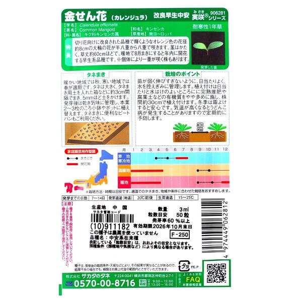 【サカタのタネ】金せん花（カレンジュラ）　改良早生中安（3ml）【定形郵便・定形...