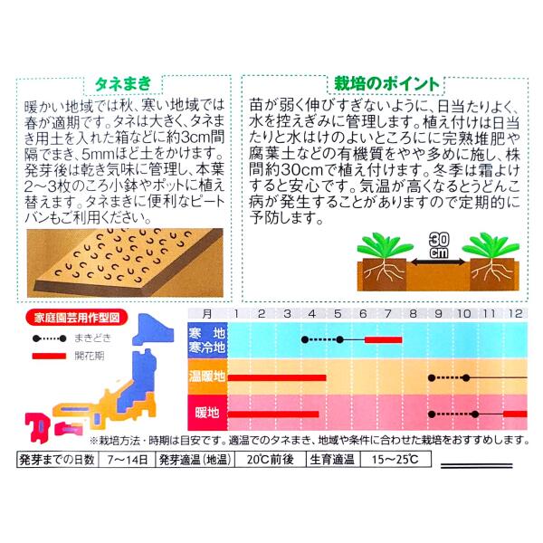 【サカタのタネ】金せん花（カレンジュラ）　改良早生中安（3ml）【定形郵便・定形...