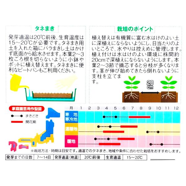 【サカタのタネ】金魚草　高性一代交配系 混合（0.05ml）【定形郵便・定形外郵便で...