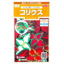 【サカタのタネ】コリウス レインボー ミックス(0.05ml)【定形郵便・定形外郵便での発送のみ送料無料】花壇/コンテナ/プランター/花種/種子/植物/栽培/ガーデニング/自宅で/キンランジソ/シソ科/春まき1年草/粒数目安:75粒/907198