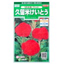 【サカタのタネ】久留米けいとう 切り花用 プライド(0.2ml)【定形郵便・定形外郵便での発送のみ送料無料】花壇/切り花/トサカケイトウ/花種/種子/植物/栽培/ガーデニング/自宅で/春まき1年草/春まき/粒数目安:145粒/906335