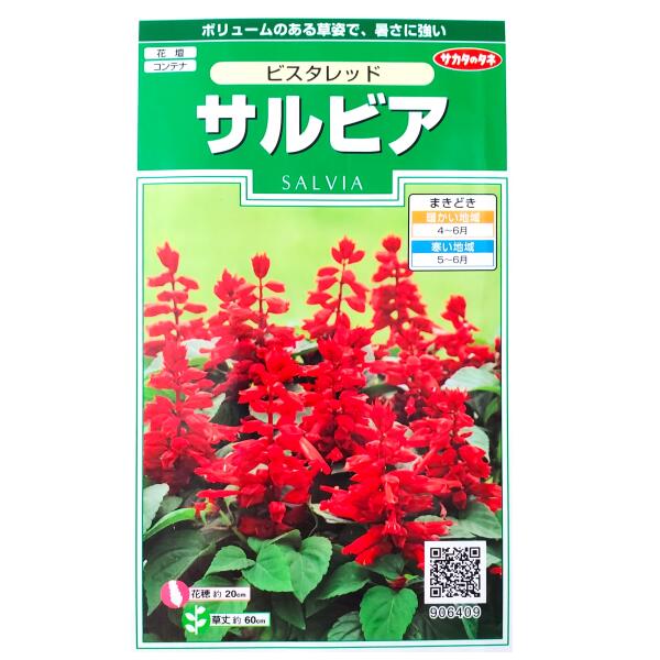 Rakuten - 【サカタのタネ】サルビア　ビスタレッド（25粒）【定形郵便・定形外郵便での発送のみ送料無料】花壇/コンテナ/プランター/ヒゴロモソウ/シソ科/花種/種子/植物/栽培/ガーデニング/春まき1年草/中早生種/906409