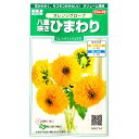 【サカタのタネ】八重咲きひまわり　オレンジグローブ（20粒）【定形郵便・定形外郵便での発送のみ送料無料】花壇/切り花/切り花用/ヒマワリ/キク科/花種/種子/植物/栽培/ガーデニング/自宅で/春まき1年草/春まき/夏/906734