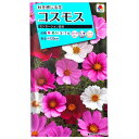 【タキイ種苗】コスモス センセーション混合(2ml)【定形郵便・定形外郵便での発送のみ送料無料】タキイの種/花壇/プランター/切り花/切り花用/花種/種子/植物/栽培/ガーデニング/自宅で/秋桜/アキザクラ/キク科/春まき/採苗本数:およそ60本/FCS110