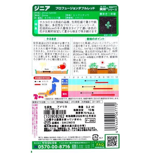 【サカタのタネ】ジニア　プロフュージョン ダブルレッド（0.2ml）【定形郵便・定...