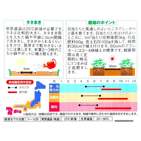 【サカタのタネ】ジニア　プロフュージョン ダブルレッド（0.2ml）【定形郵便・定...