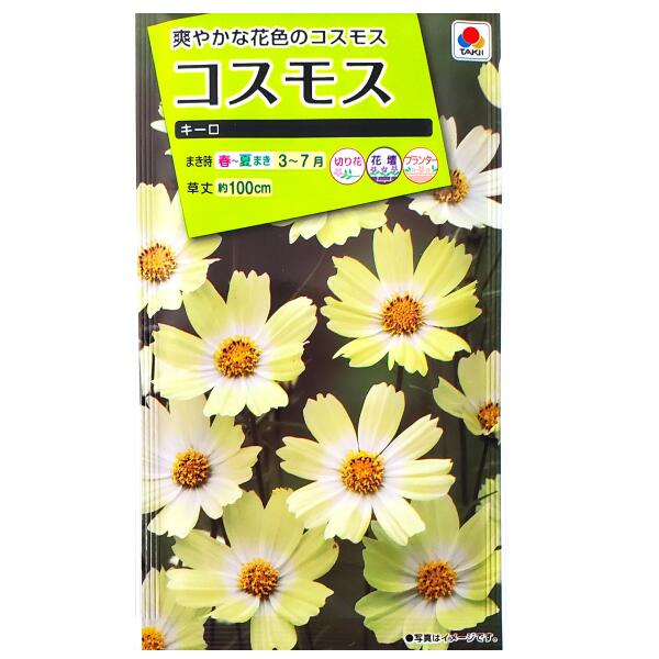 Seeds （Flower） - 【タキイ種苗】コスモス　キーロ（1ml）【定形郵便・定形外郵便での発送のみ送料無料】タキイの種/花壇/プランター/切り花/切り花用/花種/種子/植物/栽培/ガーデニング/自宅で/秋桜/アキザクラ/キク科/春まき/採苗本数：およそ30本/FCSA03