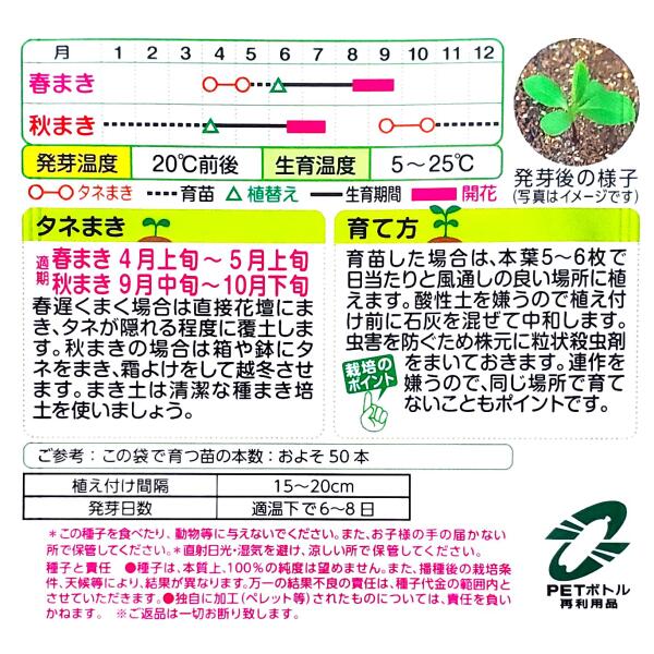【タキイ種苗】アスター　プリンセス混合（0.5ml）【定形郵便・定形外郵便での発送...
