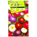 【タキイ種苗】アスター ちくまポンポン混合(1.5ml)【定形郵便・定形外郵便での発送のみ送料無料】タキイの種/切り花/花壇/プランター/コンテナ/花種/種子/植物/栽培/ガーデニング/自宅で/エゾギク/キク科/春まき/秋まき/採苗本数:およそ150本/FAS129