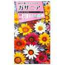 【タキイ種苗】ガザニア タレント ミックス(0.2ml)【定形郵便・定形外郵便での発送のみ送料無料】タキイの種/花壇/鉢植/プランター/コンテナ/花種/種子/植物/栽培/ガーデニング/自宅で/クンショウギク/キク科/春まき/秋まき/採苗本数:およそ10本/FGZ120