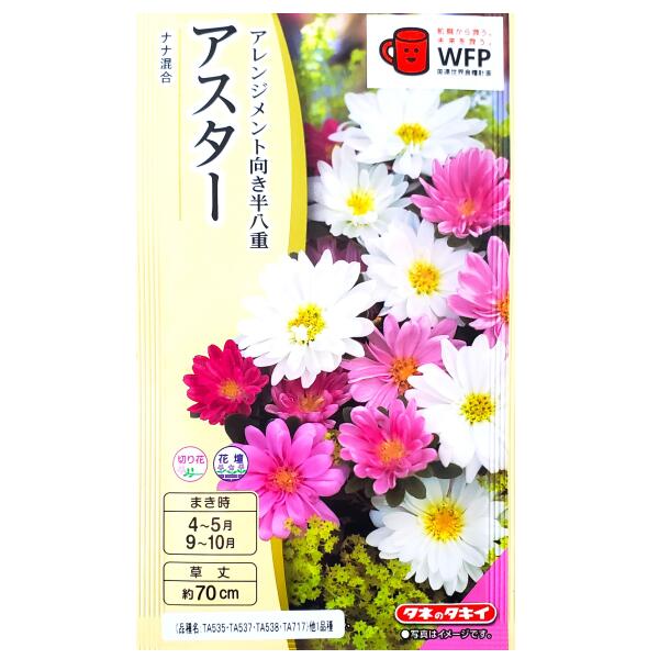 Rakuten - 【タキイ種苗】アスター　ナナ混合（0.5ml）【定形郵便・定形外郵便での発送のみ送料無料】タキイの種/切り花/花壇/花種/種子/植物/栽培/ガーデニング/自宅で/エゾギク/キク科/春まき/秋まき/採苗本数：およそ40本/FAS380