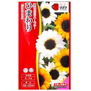 【タキイ種苗】ひまわり F1 サンセットリッチ(2ml)【定形郵便・定形外郵便での発送のみ送料無料】タキイの種/切り花/切り花用/花壇/花種/種子/植物/栽培/...