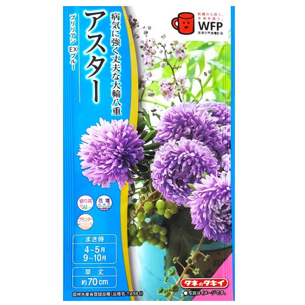 Aster - 【タキイ種苗】アスター　ブリリアン EXブルー（0.15ml）【定形郵便・定形外郵便での発送のみ送料無料】タキイの種/切り花/花壇/プランター/コンテナ/花種/種子/植物/栽培/ガーデニング/自宅で/エゾギク/キク科/春まき/秋まき/採苗本数：およそ15本/FAS593
