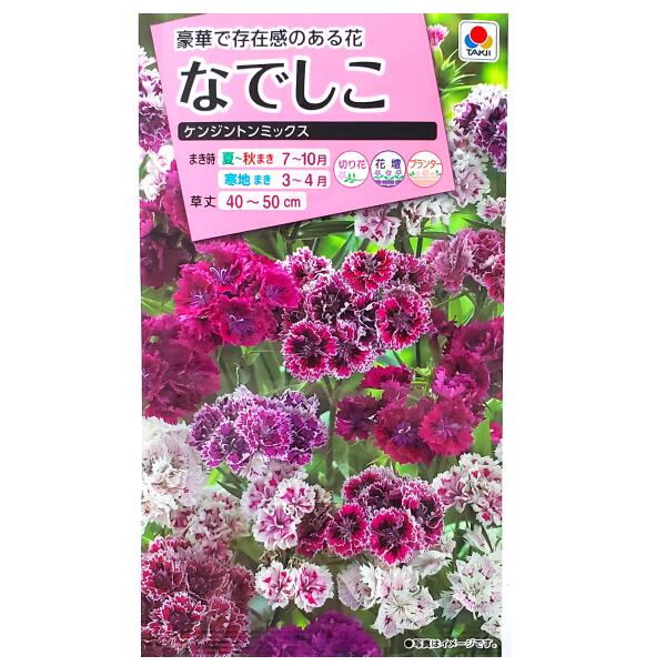 【タキイ種苗】なでしこ　ケンジントンミックス（0.1ml）【定形郵便・定形外郵便で...