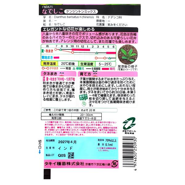 【タキイ種苗】なでしこ　ケンジントンミックス（0.1ml）【定形郵便・定形外郵便で...