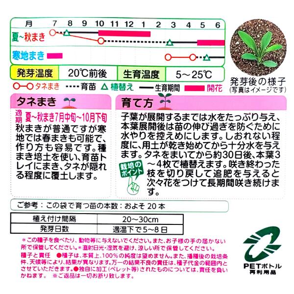 【タキイ種苗】なでしこ　ケンジントンミックス（0.1ml）【定形郵便・定形外郵便で...