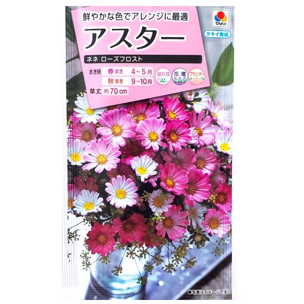 Rakuten - 【タキイ種苗】アスター　ネネ ローズフロスト（0.5ml）【定形郵便・定形外郵便での発送のみ送料無料】タキイの種/切り花/花壇/プランター/コンテナ/花種/種子/植物/栽培/ガーデニング/自宅で/エゾギク/キク科/春まき/秋まき/採苗本数：およそ50本/FAS367