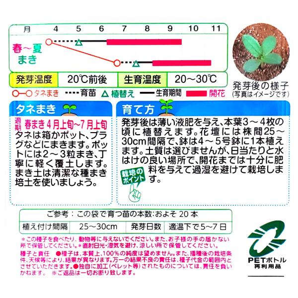 【タキイ種苗】百日草（ジニア）　F1 ドリームランド混合（2ml）【定形郵便・定形...