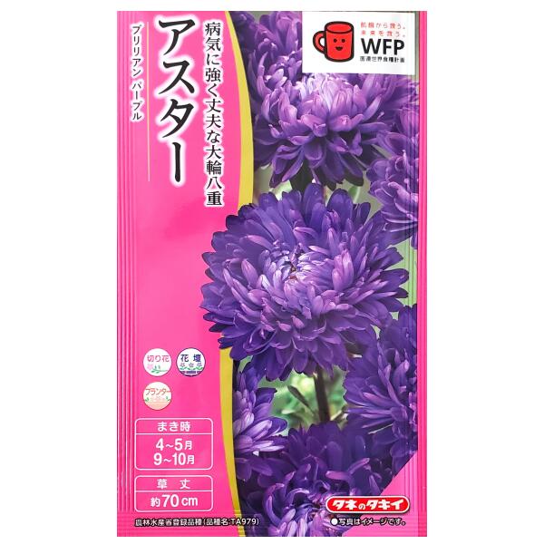商品情報商品名アスター　ブリリアン パープル【学名：Callistephus Chinensis】【英名：Chinese Aster】【和名：エゾギク】科名キク科花言葉変化原産地中国東北部生産地中国特長《病気に強く丈夫な大輪八重》萎凋病による立枯れに強い品種です。花色はパープルで、8～10cmの大輪の花が咲きます。フラワーアレンジメントの花材から仏花まで、色々な使い方ができます。【ブリリアン系】花径8～10cmの大輪八重の中晩生種。魅力的な花形を持ち、洋花と相性よくアレンジメントやブーケの花材にも好適。栽培性がよく、立枯病（フザリウム）にも強い。まきどき●春まき：4月〜5月●秋まき：9月〜10月草丈約70cm数量1袋：0.15ml＜品種名＞農林水産省登録品種（品種名：TA979）＜ご参考＞この袋で育つ苗の本数・・・およそ15本※あくまでも目安でございます。発芽率60％以上植え付け間隔15cm〜20cm発芽日数適温下で6日〜8日発芽温度20℃前後生育温度5℃〜25℃有効期限2026年10月配送方法※重要※必ずご確認下さいこちらの商品は、宅配便の他【定形郵便・定形外郵便】での発送が可能でございます。定形郵便・定形外郵便のみのお買い上げの場合は、＜全国一律送料無料＞でございます。下記の場合は、送料がかかります。定形郵便・定形外郵便＋通常商品＝送料が発生します。定形郵便・定形外郵便＋送料無料の通常商品＝送料無料となります。※定形郵便・定形外郵便（送料無料）＋通常商品（送料別）を同時購入の場合、楽天市場のシステム上、商品ページや注文確定時に0円と表示されますが、ご注文受付の際に送料を加算させてご連絡致しますので、必ずご確認下さい。 同梱にて宅配便（有料）にて発送させて頂きます。●配送方法を選択する場合は、【メール便】をお選び下さい。●定形郵便・定形外郵便はポスト投函でございます。【日時指定不可】【追跡番号なし】地域によりますが、到着までに約2日から1週間ほどかかります。商品のお届け保障、受取確認、汚損、封筒の破損等の保障はできかねます。予めご了承の上、ご購入をお願い致します。注意事項●種子は、本質上、100％の純度は望めません。また、播種後の栽培条件・天候等により、その結果が異なります。●この種子を食べたり、動物等に与えないでください。●お子様の手の届かない所で保管して下さい。●直射日光・湿気を避け、涼しい所で保管してください。●ご注文の際は、まきどきを必ずご確認下さい。【タキイ種苗】アスター　ブリリアン パープル（0.15ml）【定形郵便・定形外郵便での発送のみ送料無料】タキイの種/切り花/花壇/プランター/コンテナ/花種/種子/植物/栽培/ガーデニング/自宅で/エゾギク/キク科/春まき/秋まき/採苗本数：およそ15本/FAS591 病気に強く丈夫な大輪八重☆ 1