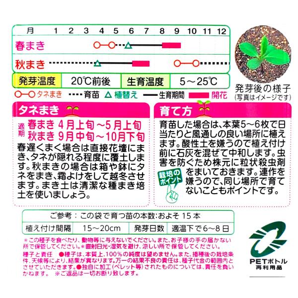 【タキイ種苗】アスター　ブリリアン パープル（0.15ml）【定形郵便・定形外郵便で...