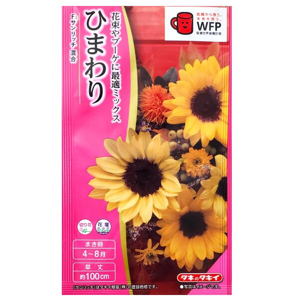 【タキイ種苗】ひまわり　F1 サンリッチ 混合（2ml）【定形郵便・定形外郵便での発送のみ送料無料】タキイの種/切り花/切り花用/花壇/花種/種子/植物/栽培/ガーデニング/自宅で/ヒマワリ/キク科/春まき/夏まき/採苗本数：およそ10本/FHM519