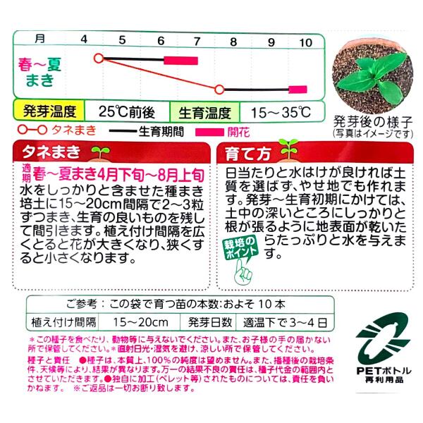【タキイ種苗】ひまわり　F1 サンリッチ マロンLD（3ml）【定形郵便・定形外郵便で...