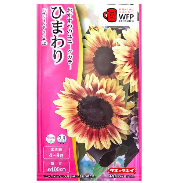商品情報商品名ひまわり　F1 サンリッチ ライチLD【学名：Helianthus annuus】【英名：Sunflower】【和名：ヒマワリ】科名キク科花言葉あなたはすばらしい原産地北アメリカ生産地チリ特長《おすすめのユニークカラー》花色はクリーム色地にパープルローズのバイカラー。株によって花色の濃淡に幅があり、個性に富んだ姿を楽しめます。※まれに単色株や花粉株が出る場合があります。まきどき春〜夏まき：4月〜8月草丈約100cm数量1袋：3ml＜ご参考＞この袋で育つ苗の本数・・・およそ10本※あくまでも目安でございます。発芽率70％以上植え付け間隔15cm〜20cm発芽日数適温下で3日〜4日発芽温度25℃前後生育温度15℃〜35℃有効期限2026年10月配送方法 ※重要※ 必ずご確認 下さいこちらの商品は、宅配便の他【定形郵便・定形外郵便】での発送が可能でございます。定形郵便・定形外郵便のみのお買い上げの場合は、＜全国一律送料無料＞でございます。下記の場合は、送料がかかります。定形郵便・定形外郵便＋通常商品＝送料が発生します。定形郵便・定形外郵便＋送料無料の通常商品＝送料無料となります。※定形郵便・定形外郵便（送料無料）＋通常商品（送料別）を同時購入の場合、楽天市場のシステム上、商品ページや注文確定時に0円と表示されますが、ご注文受付の際に送料を加算させてご連絡致しますので、必ずご確認下さい。 同梱にて宅配便（有料）にて発送させて頂きます。●配送方法を選択する場合は、【メール便】をお選び下さい。●定形郵便・定形外郵便はポスト投函でございます。【日時指定不可】【追跡番号なし】地域によりますが、到着までに約2日から1週間ほどかかります。商品のお届け保障、受取確認、汚損、封筒の破損等の保障はできかねます。予めご了承の上、ご購入をお願い致します。注意事項●種子は、本質上、100％の純度は望めません。また、播種後の栽培条件・天候等により、その結果が異なります。●この種子を食べたり、動物等に与えないでください。●お子様の手の届かない所で保管して下さい。●直射日光・湿気を避け、涼しい所で保管してください。●ご注文の際は、まきどきを必ずご確認下さい。【タキイ種苗】ひまわり　F1 サンリッチ ライチLD（3ml）【定形郵便・定形外郵便での発送のみ送料無料】タキイの種/切り花/切り花用/花壇/花種/種子/植物/栽培/ガーデニング/自宅で/ヒマワリ/キク科/春まき/夏まき/採苗本数：およそ10本/FHM461 おすすめのユニークカラー★ 1