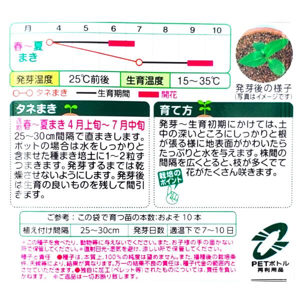 【タキイ種苗】ひまわり　F1 セミドワーフ オレンジマホガニーバイカラー（15粒）...
