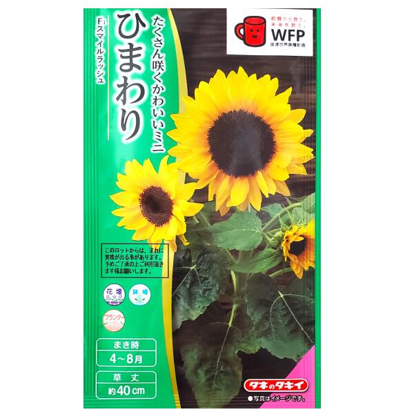 楽天市場】早咲きひまわりの通販