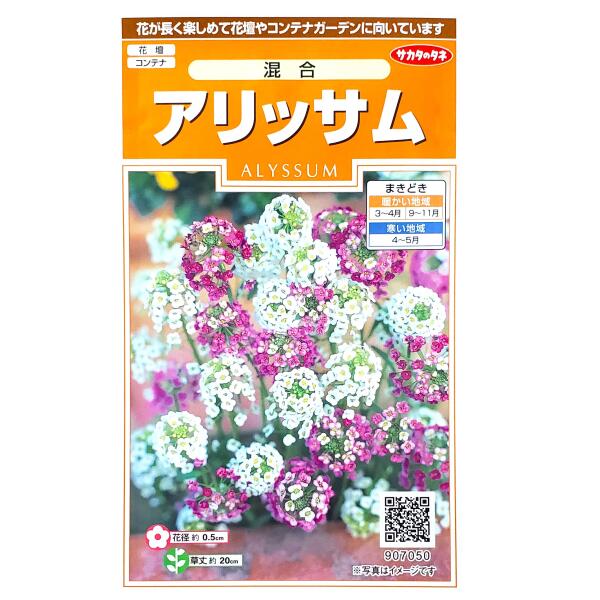 【サカタのタネ】アリッサム　混合（0.2ml）【定形郵便・定形外郵便での発送のみ送料無料】花壇/コンテナ/プランター/花種/種子/植物/栽培/ガーデニング/自宅で/ニワナズナ/アブラナ科/耐寒性1年草/春まき/秋まき/粒数目安：300粒/907050