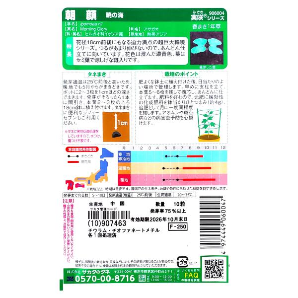 【サカタのタネ】朝顔　暁の海（10粒）【定形郵便・定形外郵便での発送のみ送料無...