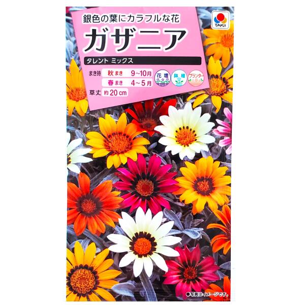 【タキイ種苗】ガザニア　タレント ミックス（0.2ml）