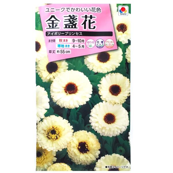 キンセンカ様 楽天市場】キンセンカ 苗の通販