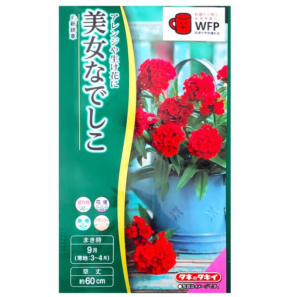 【タキイ種苗】美女なでしこ　F1 新緋車（0.1ml）【定形郵便・定形外郵便での発送のみ送料無料】タキイ..