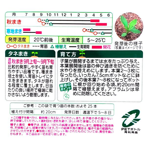 【タキイ種苗】美女なでしこ　F1 新緋車（0.1ml）【定形郵便・定形外郵便での発送...