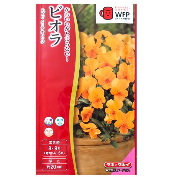 【タキイ種苗】ビオラ　F1 ビビ クリアオレンジ（0.2ml）【定形郵便・定形外郵便での発送のみ送料無料】タキイの種/花壇/鉢植/コンテナ/プランター/花種/種子/植物/栽培/ガーデニング/自宅で/スミレ科/春まき/夏まき/秋まき/採苗本数：およそ80本/FBR535