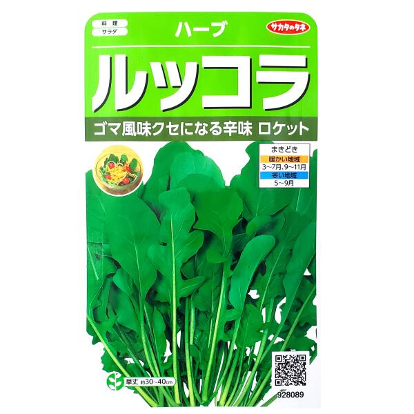 Rakuten - 【サカタのタネ】ルッコラ（ロケット）（2ml）【定形郵便・定形外郵便での発送のみ送料無料】料理/ハーブ/香りづけ/薬味/サラダ/野菜/イタリア料理/ビタミンC/家庭菜園/種子/ガーデニング/キバナスズシロ/春まき/秋まき/耐寒性1年草/粒数目安：700粒/928089