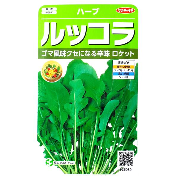 【サカタのタネ】ルッコラ（ロケット）（2ml）【定形郵便・定形外郵便での発送のみ...
