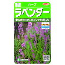 【サカタのタネ】ラベンダー(0.1ml)【定形外郵便での発送のみ送料無料】切り花/切り花用/料理/ポプリ/ハーブティー/ハーブ/香り/家庭菜園/種子/花種/植物...