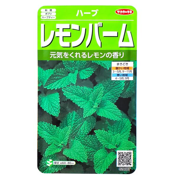 【サカタのタネ】レモンバーム（0.9ml）【定形郵便・定形外郵便での発送のみ送料無料】料理/ポプリ/ハーブティー/ハーブ/香り/家庭菜園/種子/植物/栽培/ガーデニング/自宅で/セイヨウヤマハッカ/シソ科/多年草/春まき/秋まき/採苗本数：およそ450本/928087のサムネイル