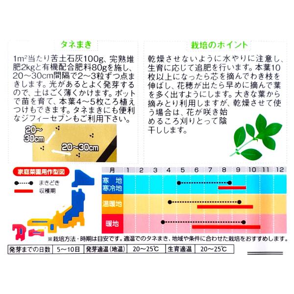【サカタのタネ】バジル（4.5ml）【定形郵便・定形外郵便での発送のみ送料無料】料...