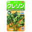 【サカタのタネ】クレソン(0.7ml)【定形郵便・定形外郵便での発送のみ送料無料】料理/サラダ/ハーブ/香り/辛み/肉料理/天ぷら/塩漬け/家庭菜園/種子/植物/栽培/ガーデニング/自宅で/オランダガラシ/多年草/春まき/秋まき/採苗本数:およそ880本/928073 390円