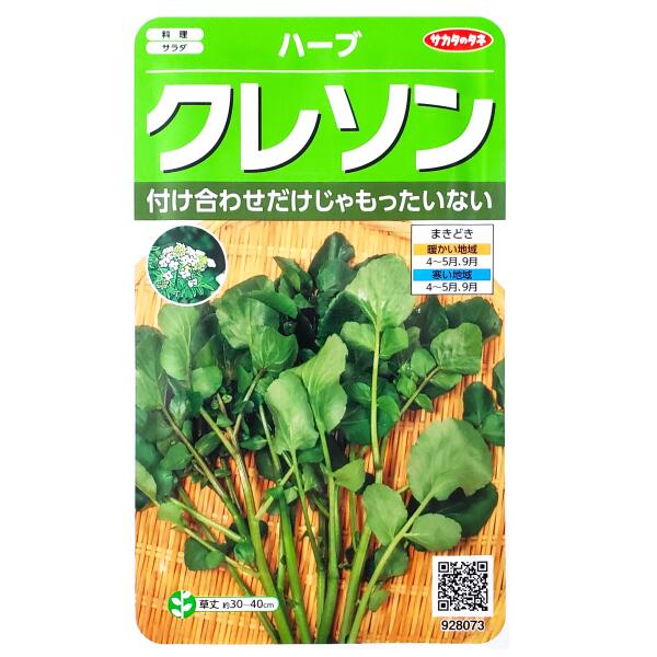 【サカタのタネ】クレソン（0.7ml）【定形郵便・定形外郵便での発送のみ送料無料】料理/サラダ/ハーブ/香り/辛み/肉料理/天ぷら/塩漬け/家庭菜園/種子/植物/栽培/ガーデニング/自宅で/オランダガラシ/多年草/春まき/秋まき/粒数目安：1100粒/928073