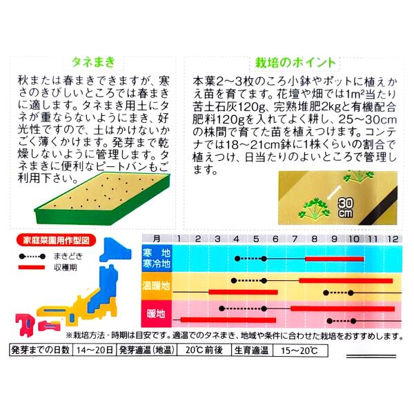 【サカタのタネ】イタリアンパセリ（1.8ml）【定形郵便・定形外郵便での発送のみ送...