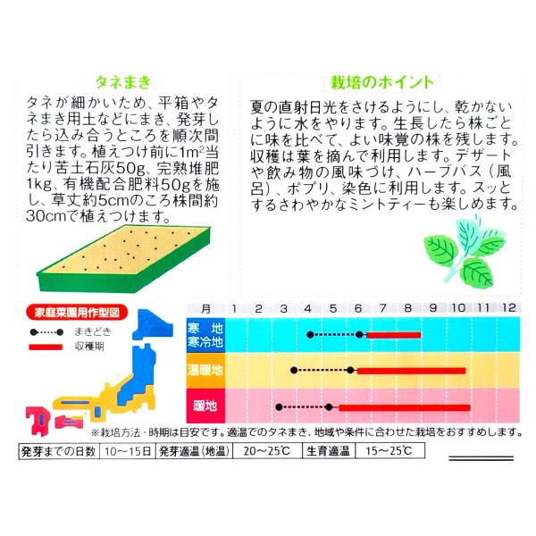 【サカタのタネ】ペパーミント（0.2ml）【定形郵便・定形外郵便での発送のみ送料無...
