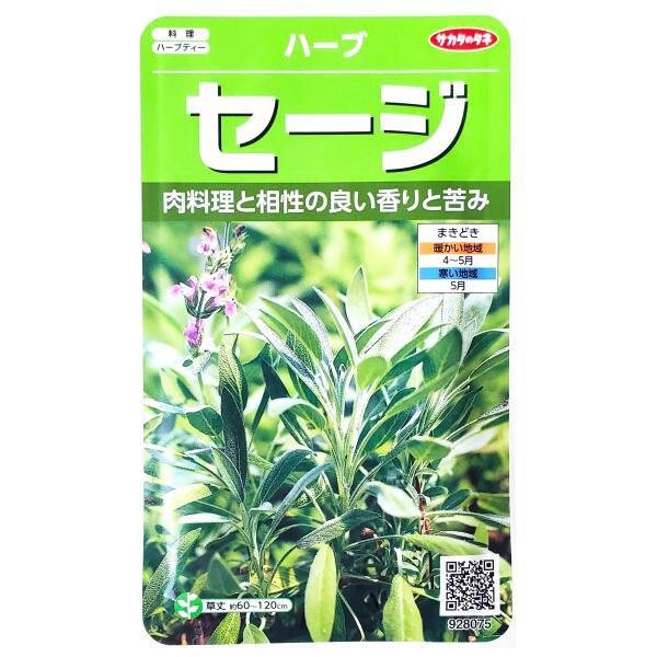 鼠尾草 - 【サカタのタネ】セージ（2.9ml）【定形郵便・定形外郵便での発送のみ送料無料】料理/ハーブティー/ハーブ/ソーセージ/家庭菜園/種子/植物/栽培/ガーデニング/自宅で/薬用サルビア/シソ科/多年草/春まき/粒数目安：180粒/928075