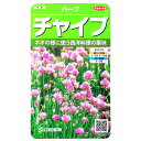 チャイブ（0.9ml）料理/ハーブ/香り/西洋料理/薬味/家庭菜園/種子/花種/植物/栽培/ガーデニング/自宅で/エゾネギ/多年草/春まき/秋まき/採苗本数：およそ140本/928078