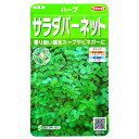 【サカタのタネ】サラダバーネット(1.9ml)【定形郵便・定形外郵便での発送のみ送料無料】料理/ハーブ/スープ/ビネガー/美容/家庭菜園/種子/オランダワレモコウ/多年草/春まき/秋まき/粒数目安:60粒/928081
