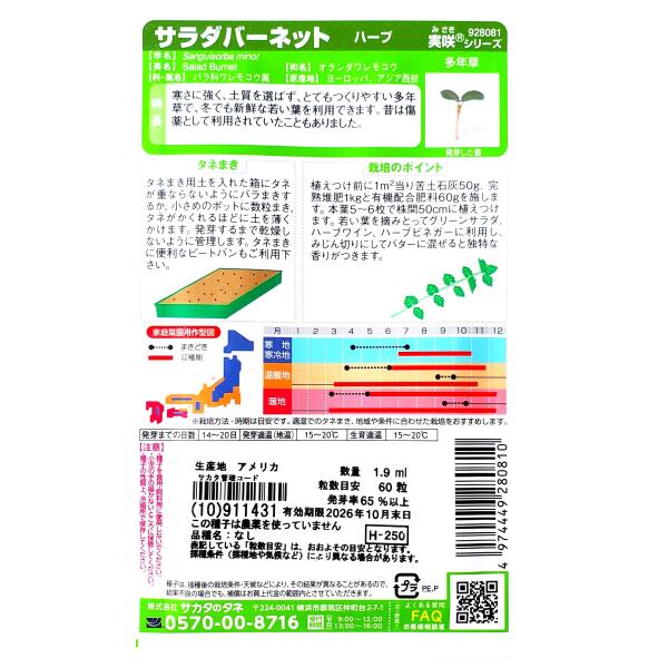 【サカタのタネ】サラダバーネット（1.9ml）【定形郵便・定形外郵便での発送のみ送...